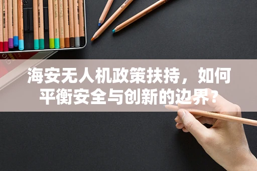 海安无人机政策扶持，如何平衡安全与创新的边界？