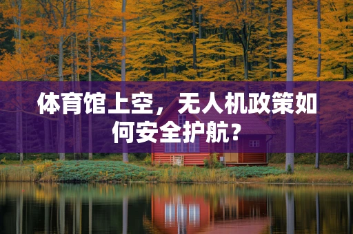 体育馆上空，无人机政策如何安全护航？