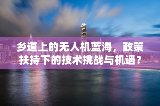 乡道上的无人机蓝海，政策扶持下的技术挑战与机遇？