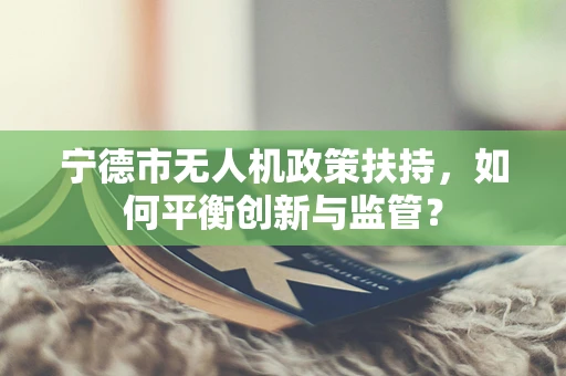 宁德市无人机政策扶持，如何平衡创新与监管？