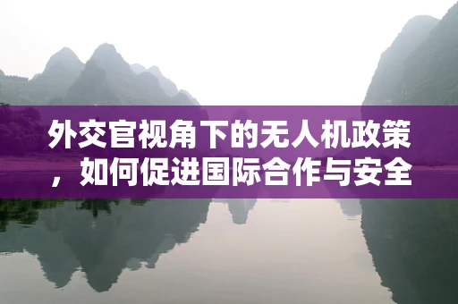 外交官视角下的无人机政策，如何促进国际合作与安全？