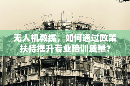 无人机教练，如何通过政策扶持提升专业培训质量？