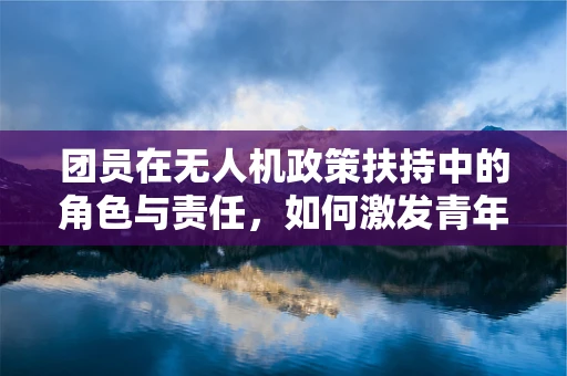 团员在无人机政策扶持中的角色与责任，如何激发青年力量？