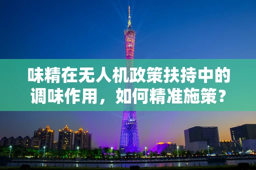 味精在无人机政策扶持中的调味作用，如何精准施策？
