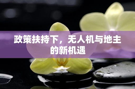 政策扶持下，无人机与地主的新机遇