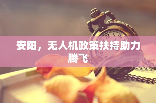 安阳，无人机政策扶持助力腾飞