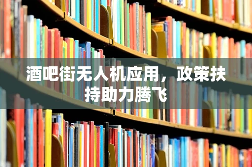 酒吧街无人机应用，政策扶持助力腾飞