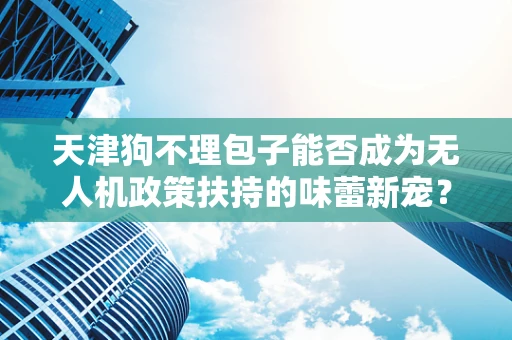 天津狗不理包子能否成为无人机政策扶持的味蕾新宠？
