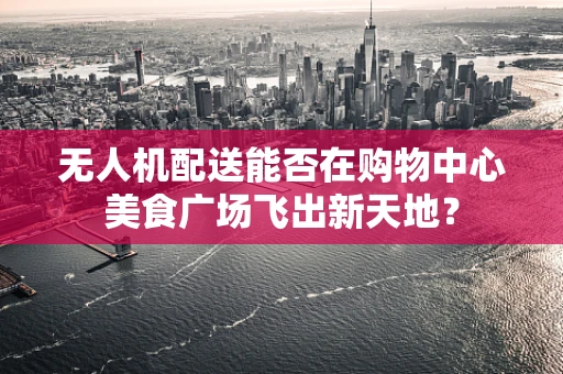 无人机配送能否在购物中心美食广场飞出新天地？
