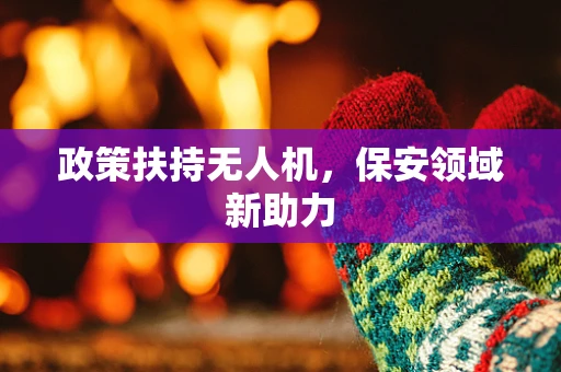 政策扶持无人机，保安领域新助力