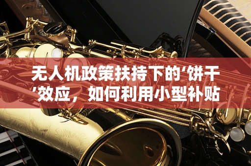 无人机政策扶持下的‘饼干’效应，如何利用小型补贴激发行业创新？