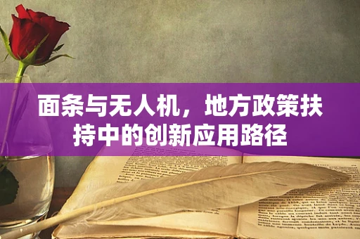 面条与无人机，地方政策扶持中的创新应用路径