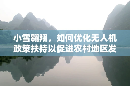 小雪翱翔，如何优化无人机政策扶持以促进农村地区发展？