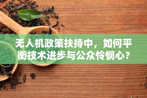 无人机政策扶持中，如何平衡技术进步与公众怜悯心？