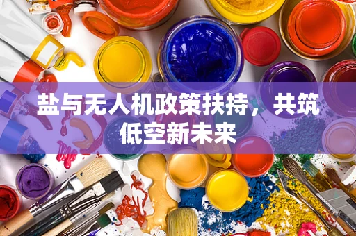 盐与无人机政策扶持，共筑低空新未来