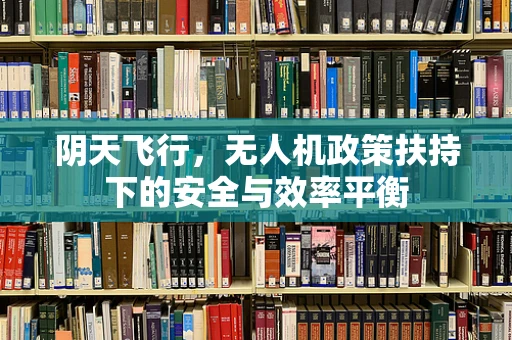 阴天飞行，无人机政策扶持下的安全与效率平衡