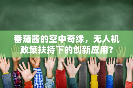 番茄酱的空中奇缘，无人机政策扶持下的创新应用？