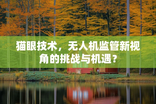 猫眼技术，无人机监管新视角的挑战与机遇？