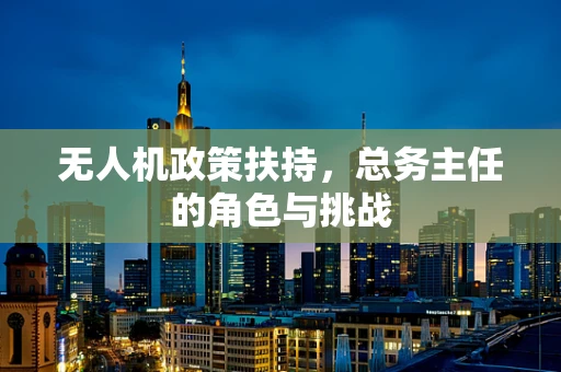 无人机政策扶持，总务主任的角色与挑战