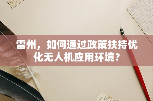雷州，如何通过政策扶持优化无人机应用环境？
