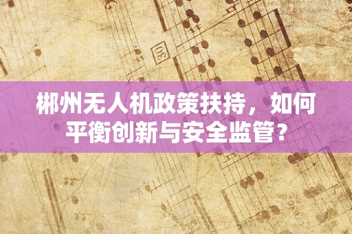 郴州无人机政策扶持，如何平衡创新与安全监管？