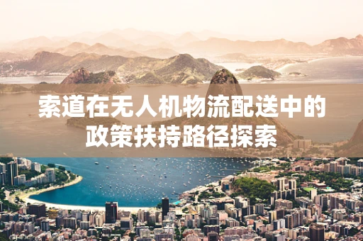 索道在无人机物流配送中的政策扶持路径探索