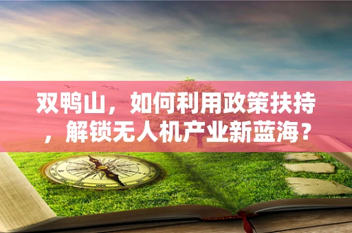 双鸭山，如何利用政策扶持，解锁无人机产业新蓝海？