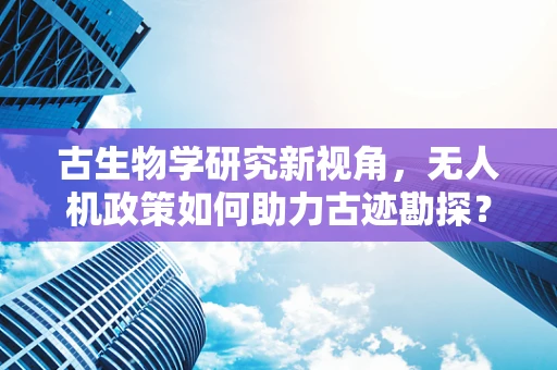 古生物学研究新视角，无人机政策如何助力古迹勘探？