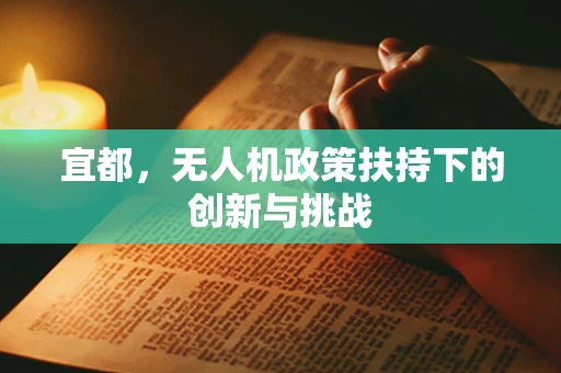 宜都，无人机政策扶持下的创新与挑战
