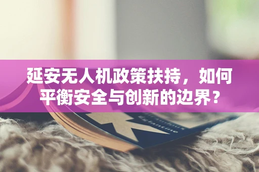 延安无人机政策扶持，如何平衡安全与创新的边界？