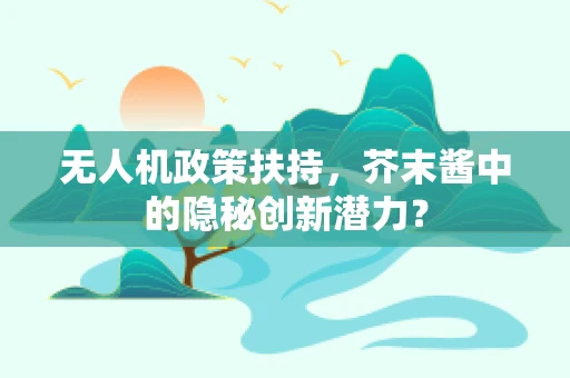 无人机政策扶持，芥末酱中的隐秘创新潜力？