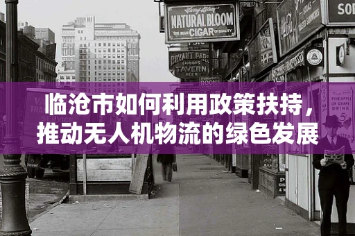 临沧市如何利用政策扶持，推动无人机物流的绿色发展？