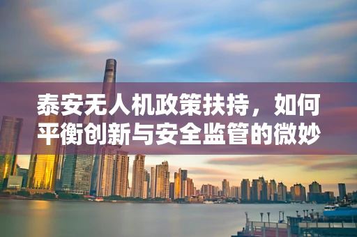 泰安无人机政策扶持，如何平衡创新与安全监管的微妙平衡？