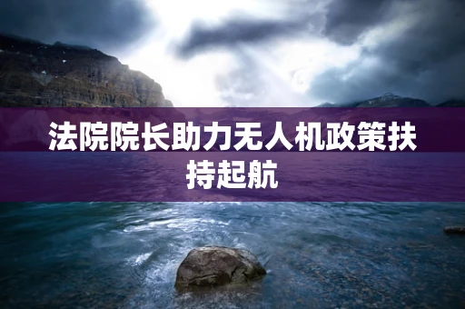 法院院长助力无人机政策扶持起航