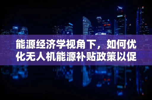 能源经济学视角下，如何优化无人机能源补贴政策以促进可持续发展？