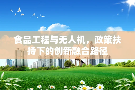 食品工程与无人机，政策扶持下的创新融合路径