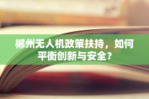 郴州无人机政策扶持，如何平衡创新与安全？
