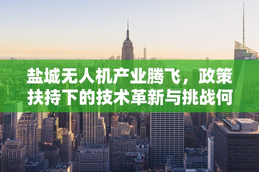 盐城无人机产业腾飞，政策扶持下的技术革新与挑战何在？