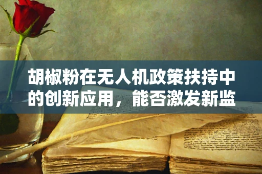 胡椒粉在无人机政策扶持中的创新应用，能否激发新监管模式？