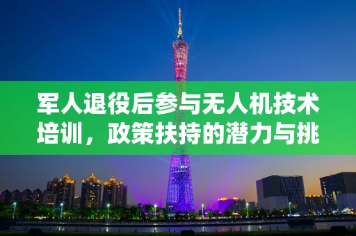 军人退役后参与无人机技术培训，政策扶持的潜力与挑战