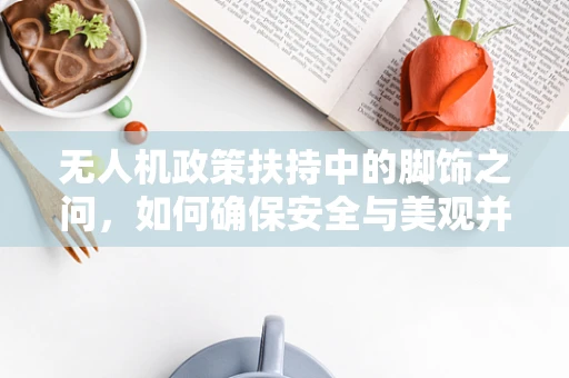 无人机政策扶持中的脚饰之问，如何确保安全与美观并重？