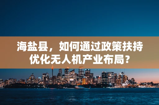 海盐县，如何通过政策扶持优化无人机产业布局？