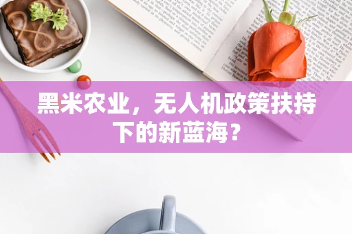 黑米农业，无人机政策扶持下的新蓝海？
