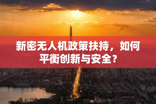 新密无人机政策扶持，如何平衡创新与安全？