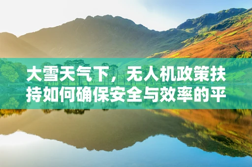 大雪天气下，无人机政策扶持如何确保安全与效率的平衡？
