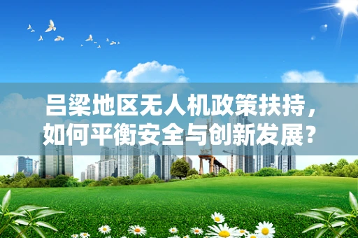 吕梁地区无人机政策扶持，如何平衡安全与创新发展？