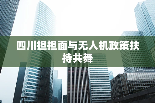 四川担担面与无人机政策扶持共舞
