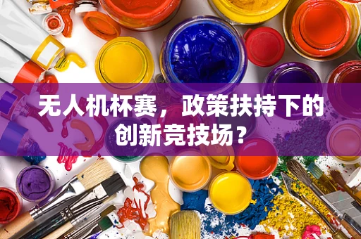 无人机杯赛，政策扶持下的创新竞技场？