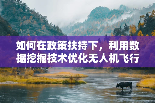 如何在政策扶持下，利用数据挖掘技术优化无人机飞行监管？
