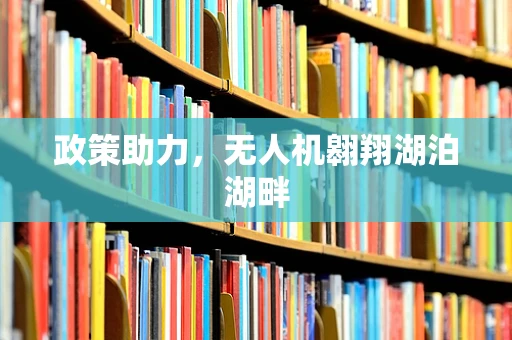 政策助力，无人机翱翔湖泊湖畔